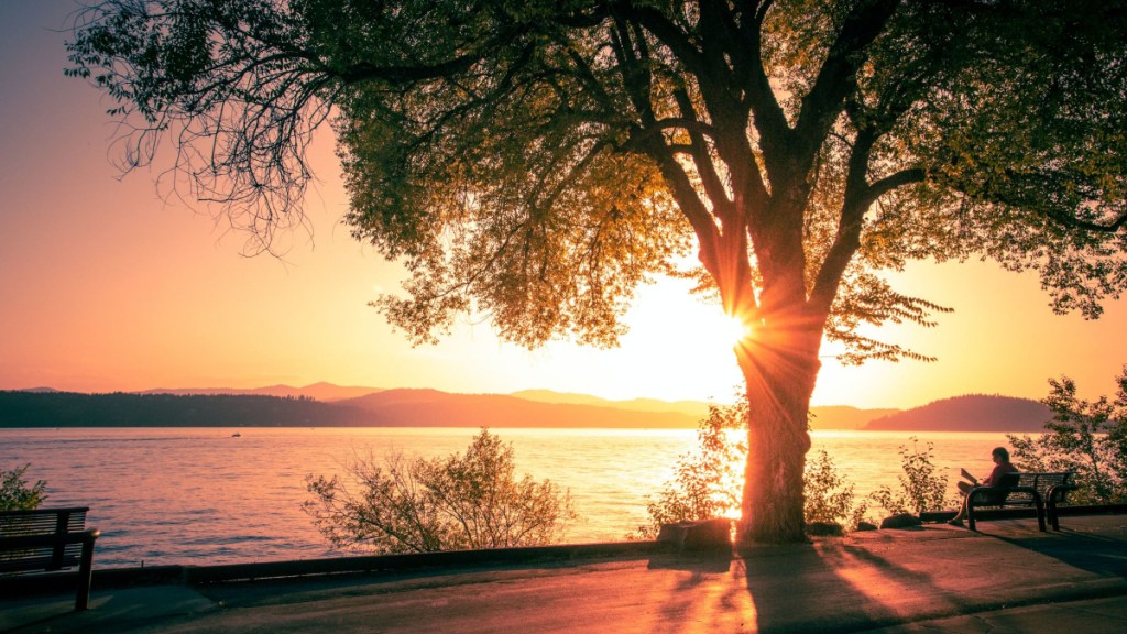 How Would You Feel if You Were Finally “Good&nbsp;Enough”?