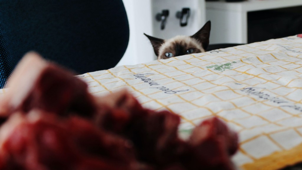 Stop Stealing Other People’s&nbsp;Bullshit