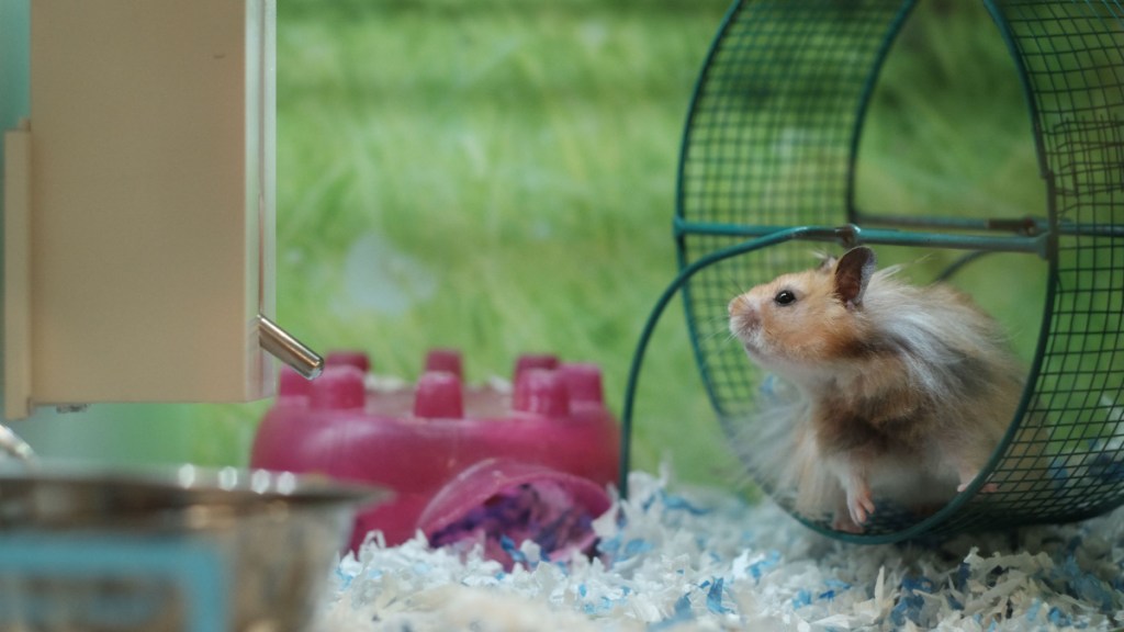 You’re Overthinking Again