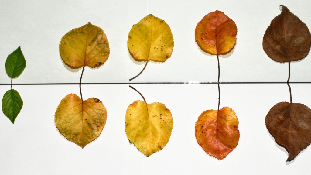 Advice Column: Growing Apart From Old&nbsp;Friends