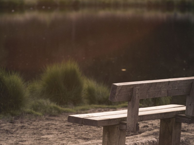 Your Best Life Will Still Be Lonely&nbsp;Sometimes